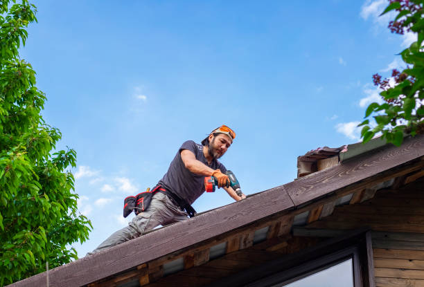 Best Green or Eco-Friendly Roofing Solutions  in Coaldale, PA