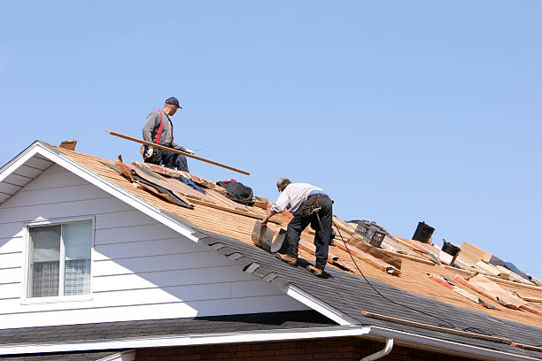 Best Asphalt Shingle Roofing  in Coaldale, PA